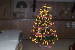 Picture-002