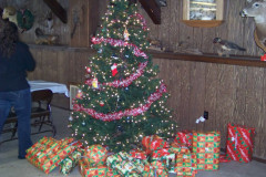 Picture-005
