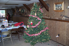 Picture-099