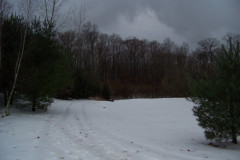 Picture-106