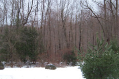 Picture-112